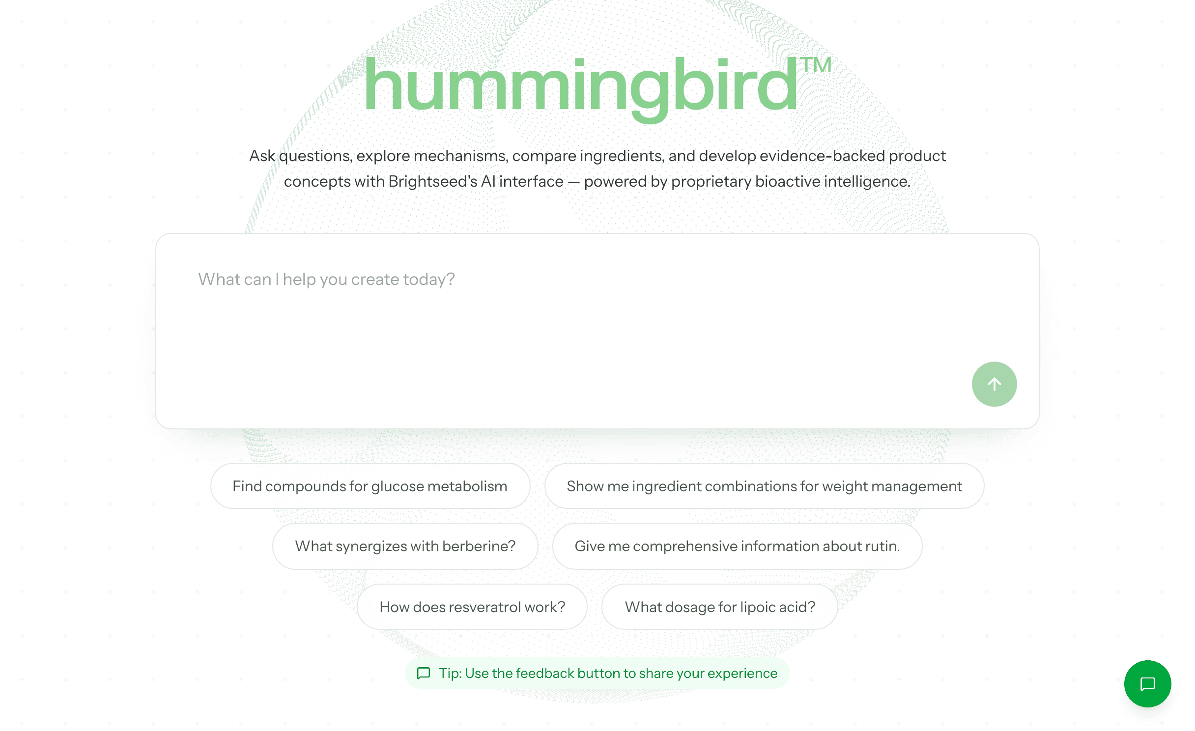 The Hummingbird home screen: a prompt box asking “What can I help you create today?” above six example questions